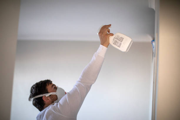 Best Fast Mold Removal  in Boulder Creek, CA