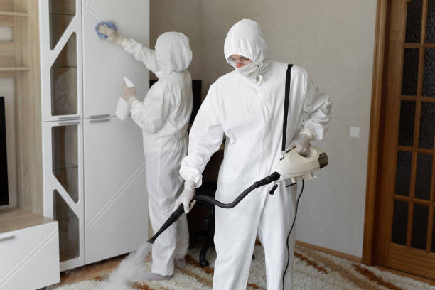 Best Residential Mold Removal  in Boulder Creek, CA